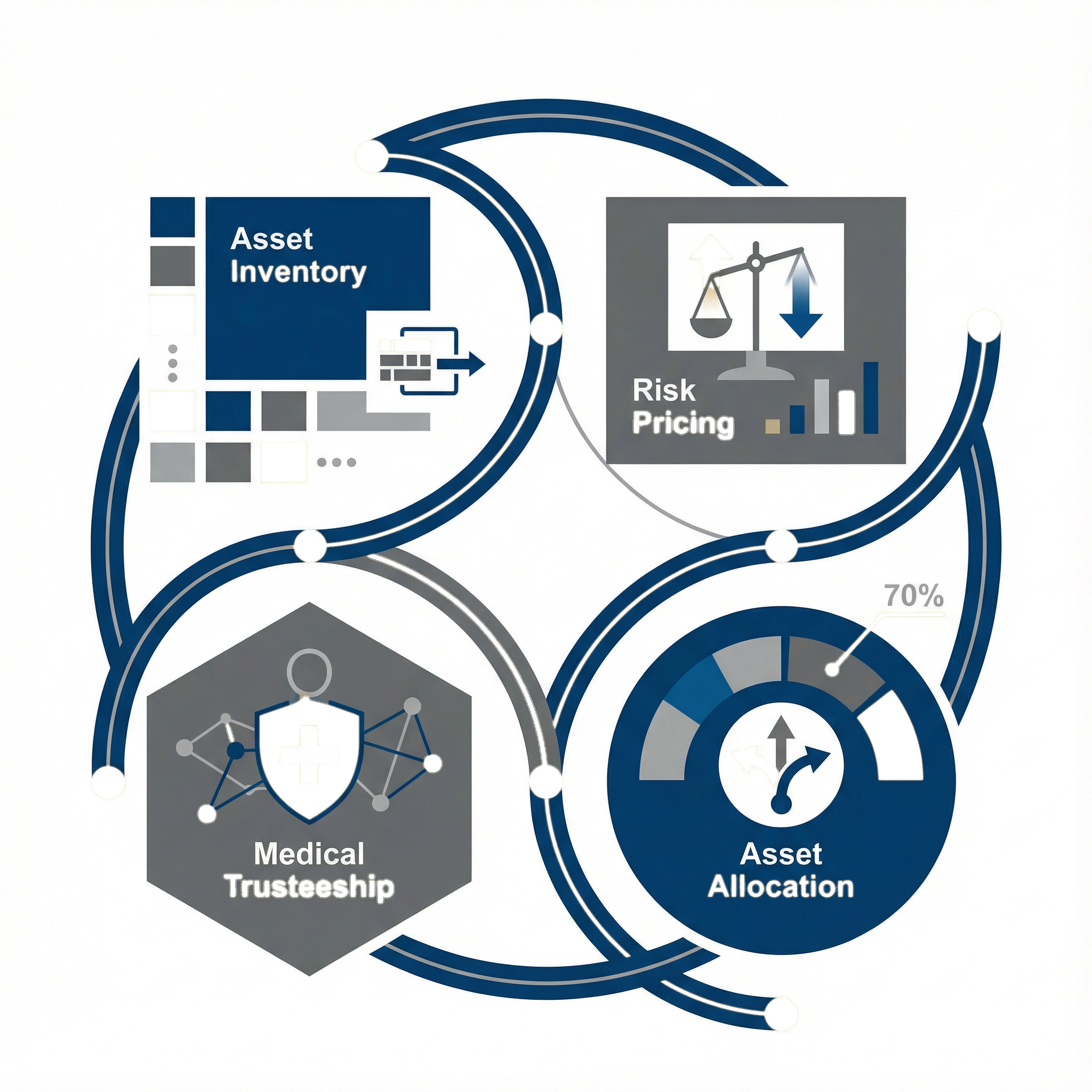 Life Asset Management Framework
